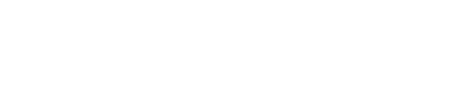 0895085109